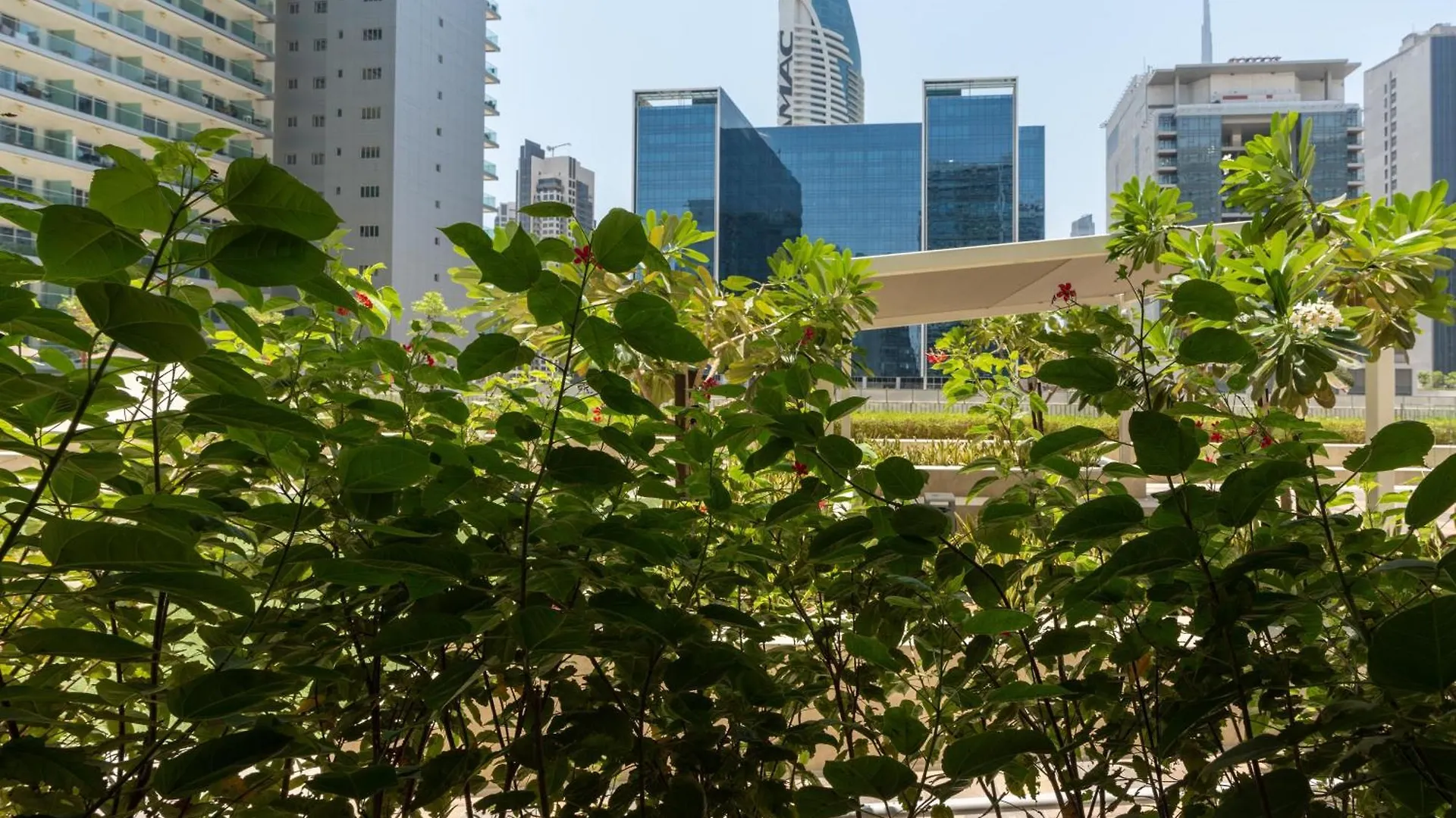 Apartment White Sage- Damac Vera Residences 417 Dubai